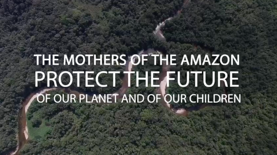 Mothers of the Amazon ~ Rainforest Protection